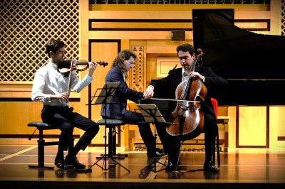 Trio Nebelmeer 